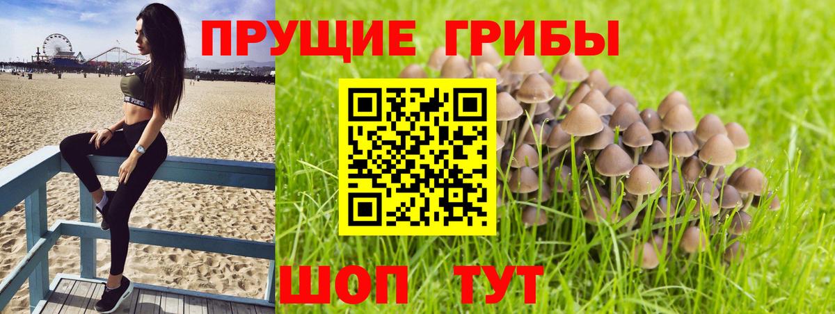 Псилоцибиновые грибы MAGIC MUSHROOMS  Вход с VPN  Куйбышев 
