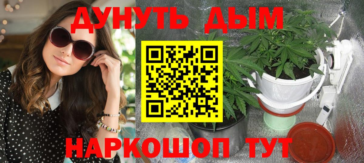Бошки марихуана план Куйбышев